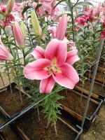 [4572 VH48 No01.JPG]